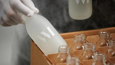 Fiche-Produit | description | Dentifrice-Menthe | usine | What Matters