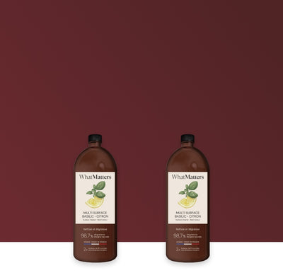 Illutration visuelle 1 de notre Multi-Surface Basilic Citron | 2 x 400 ml What Matters