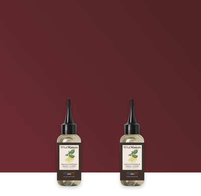 Illutration visuelle 1 de notre Parfum d'Intérieur Basilic Citron | 2 x 100ml What Matters