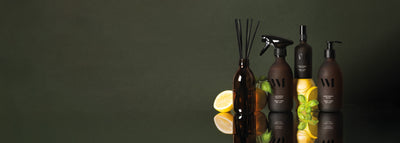 Gamme Basilic Citron | What Matters