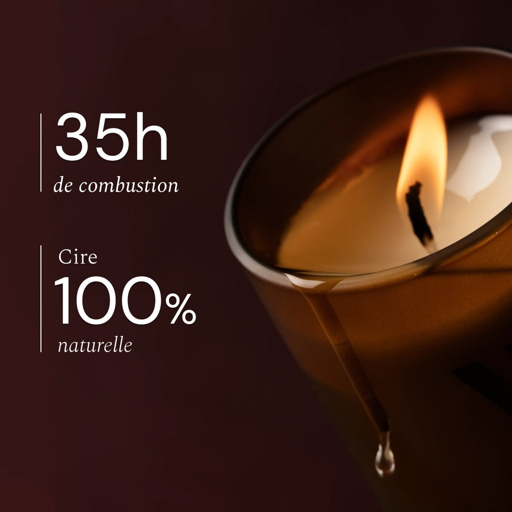 Illutration visuelle 2 de notre Bougie Parfumée Basilic Citron What Matters