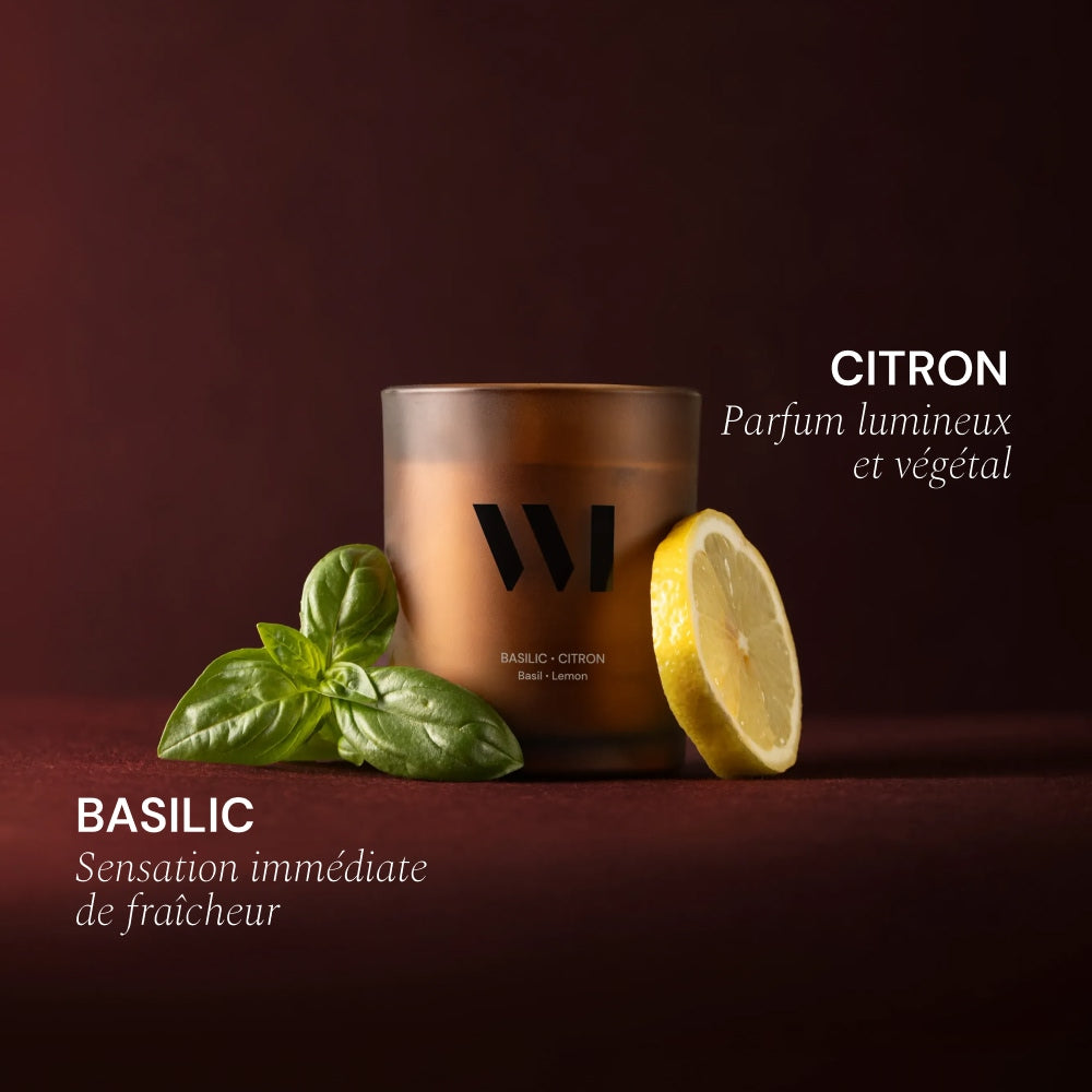 Illutration visuelle 3 de notre Bougie Parfumée Basilic Citron What Matters