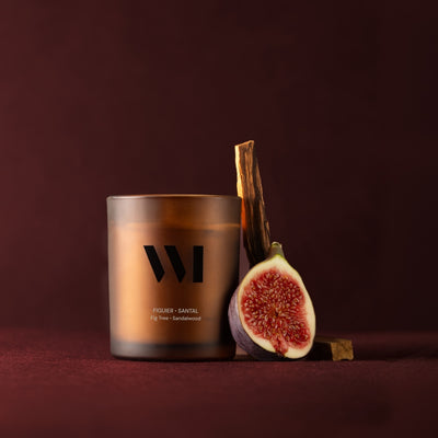 Illutration visuelle 1 de notre Bougie Parfumée Figuier Santal What Matters