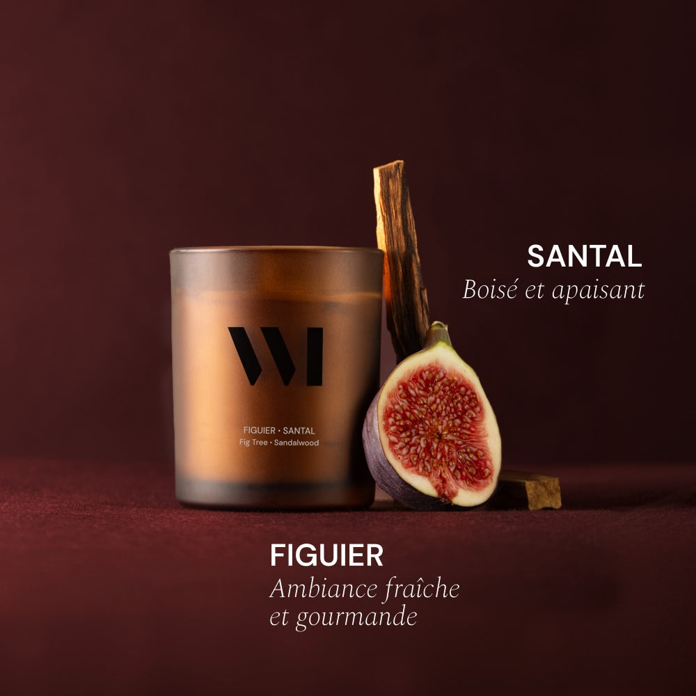 Illutration visuelle 3 de notre Bougie Parfumée Figuier Santal What Matters