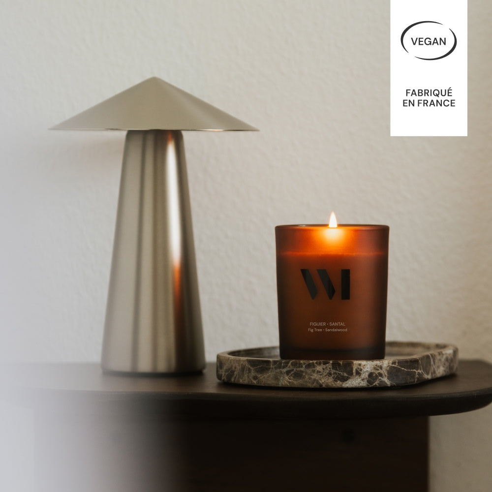 Illutration visuelle 4 de notre Bougie Parfumée Figuier Santal What Matters