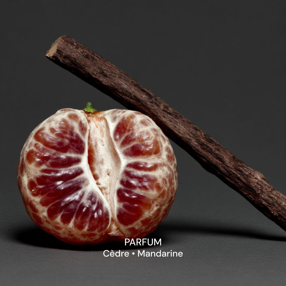 Illutration visuelle 6 de notre Crème Mains &amp; Corps | Cèdre Mandarine What Matters