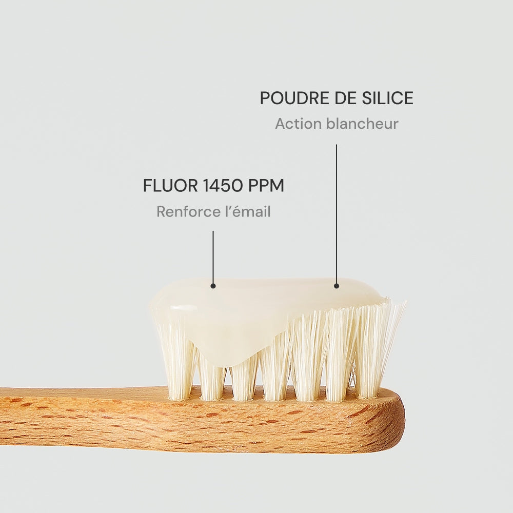 Illutration visuelle 2 de notre Dentifrice Blancheur What Matters