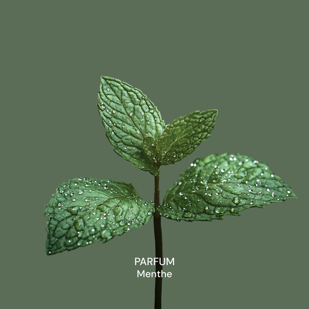 Illutration visuelle 9 de notre Dentifrice Menthe What Matters