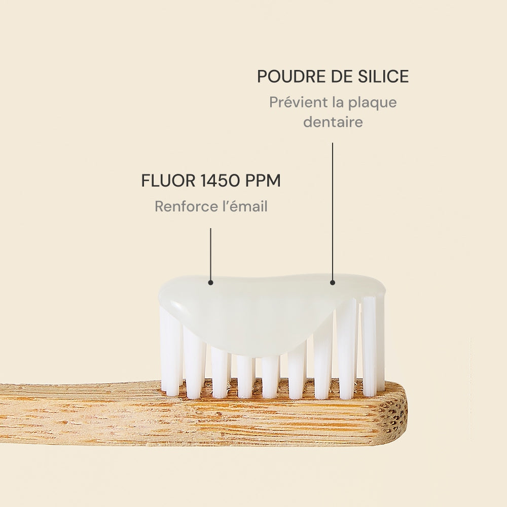 Illutration visuelle 2 de notre Dentifrice Menthe What Matters
