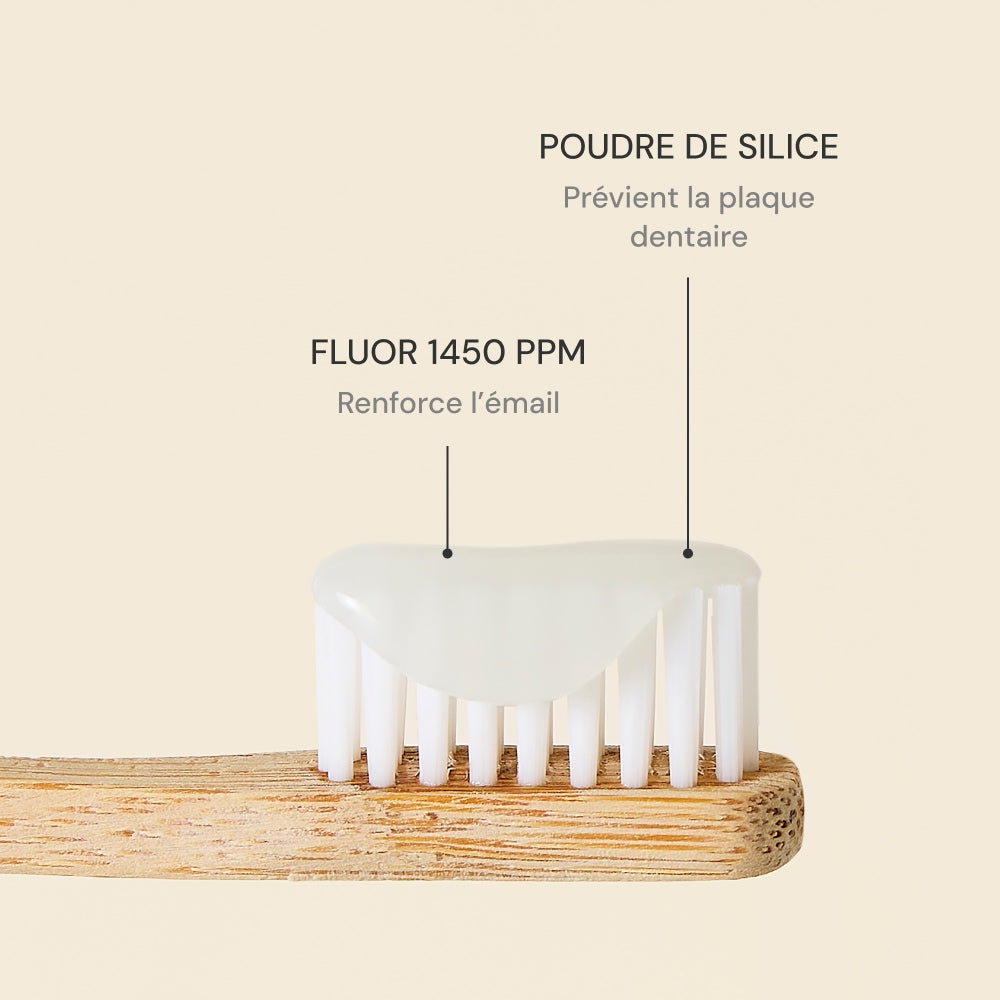 Illutration visuelle 4 de notre Dentifrice Menthe What Matters