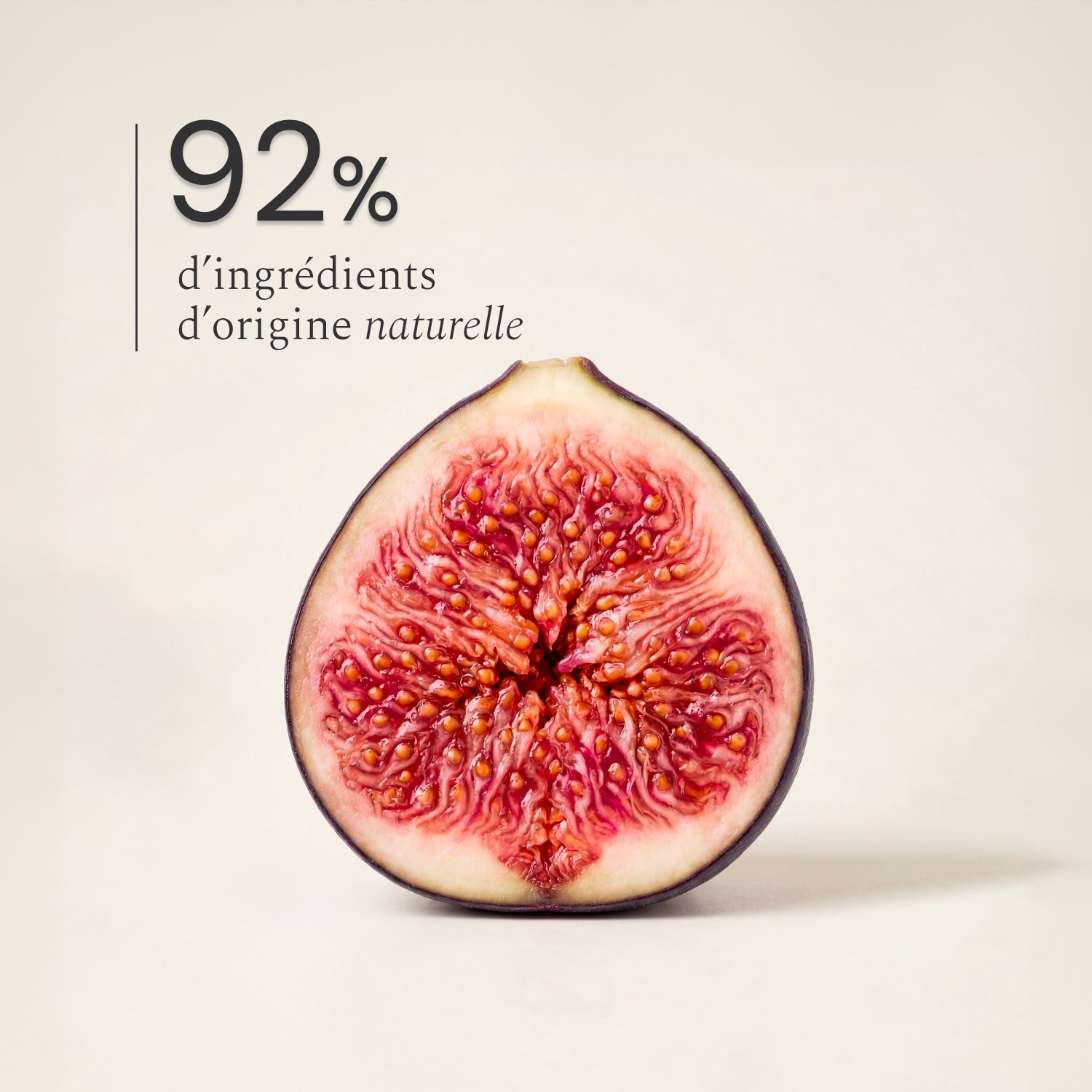 Illutration visuelle 2 de notre Parfum d'Intérieur | Figuier Santal What Matters