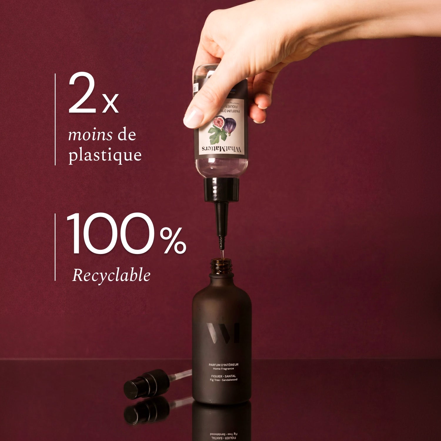 Illutration visuelle 4 de notre Parfum d'Intérieur | Figuier Santal What Matters