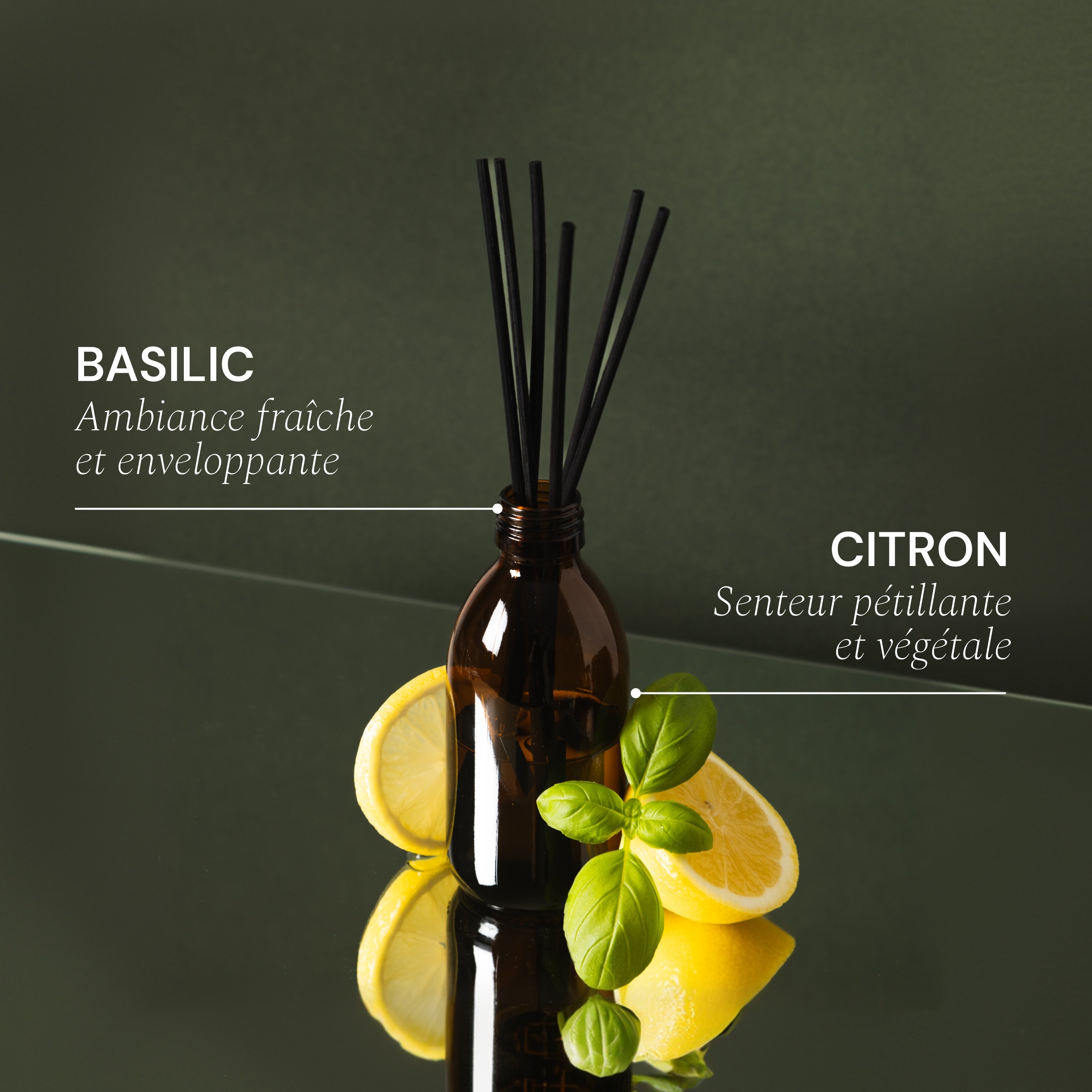 Illutration visuelle 3 de notre Diffuseur de Parfum | Basilic Citron What Matters