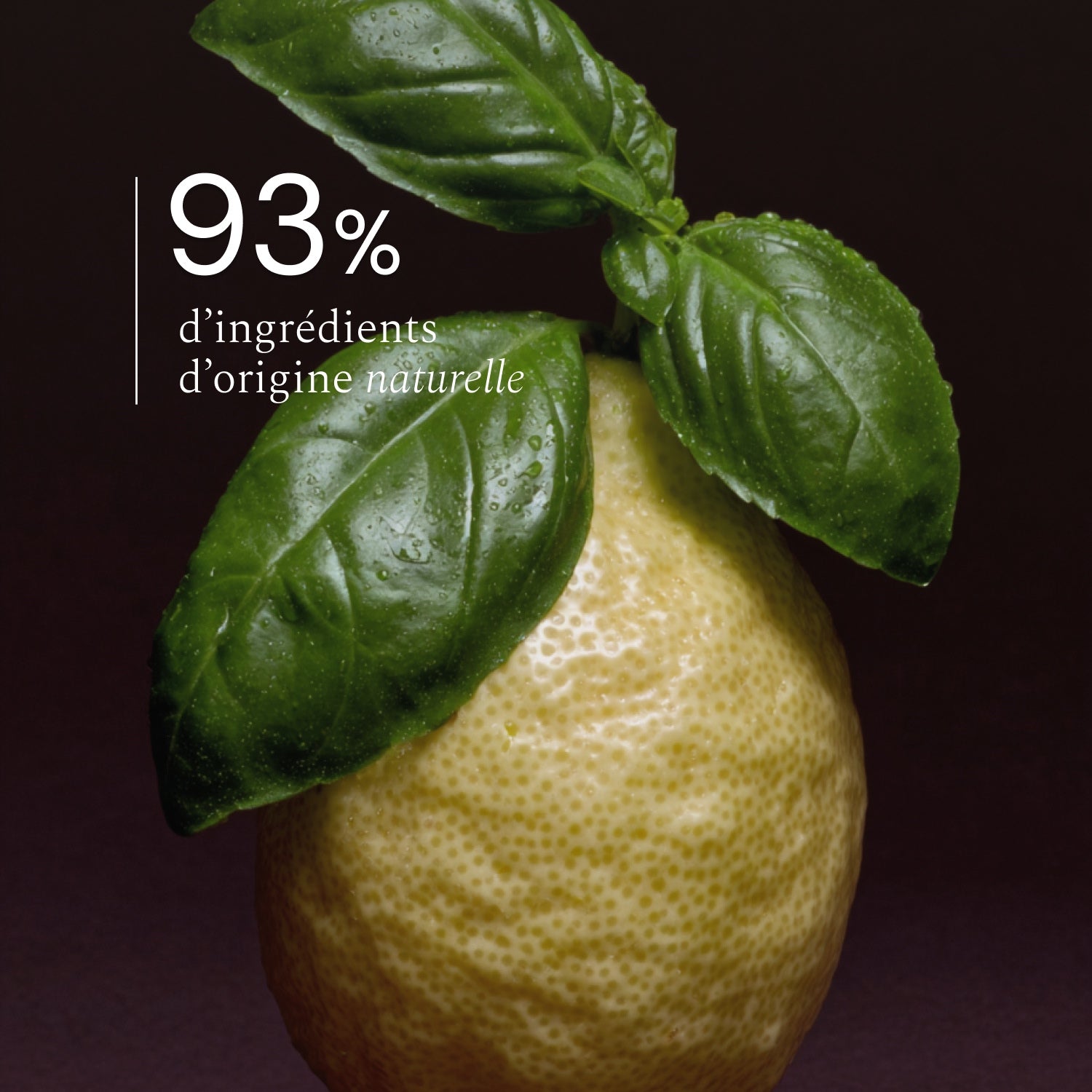 Illutration visuelle 2 de notre Diffuseur de Parfum | Basilic Citron What Matters
