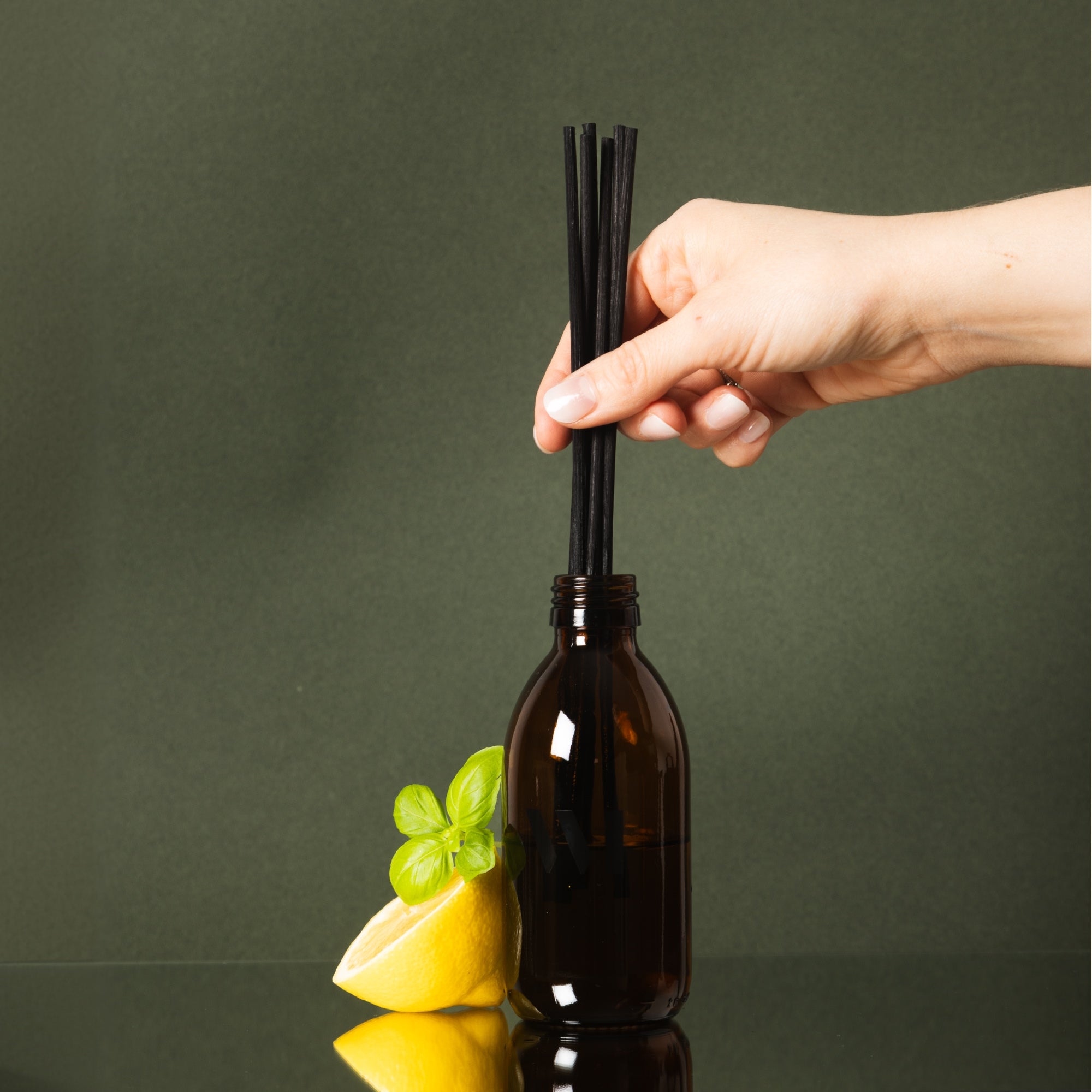 Illutration visuelle 6 de notre Kit Découverte Basilic Citron What Matters