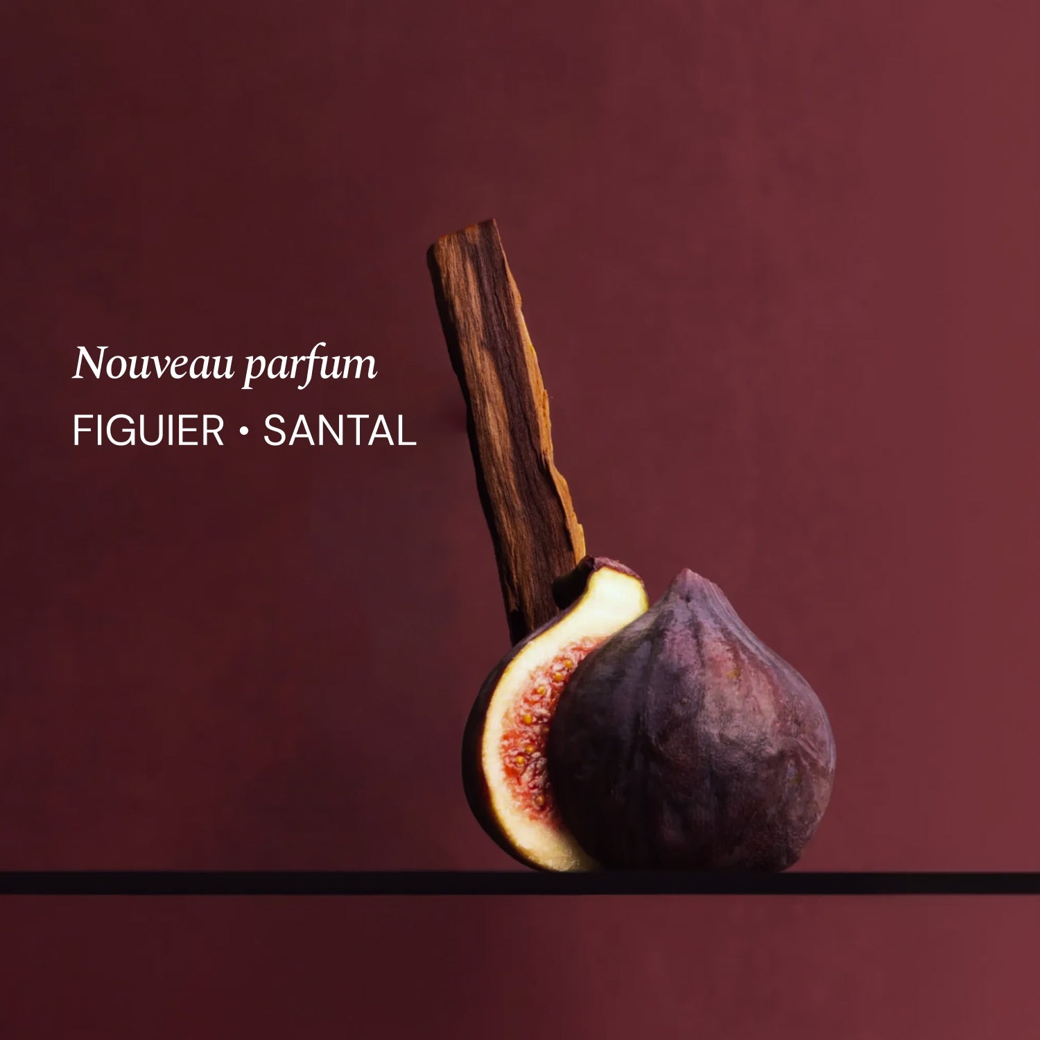 Illutration visuelle 4 de notre Kit Découverte Figuier Santal What Matters