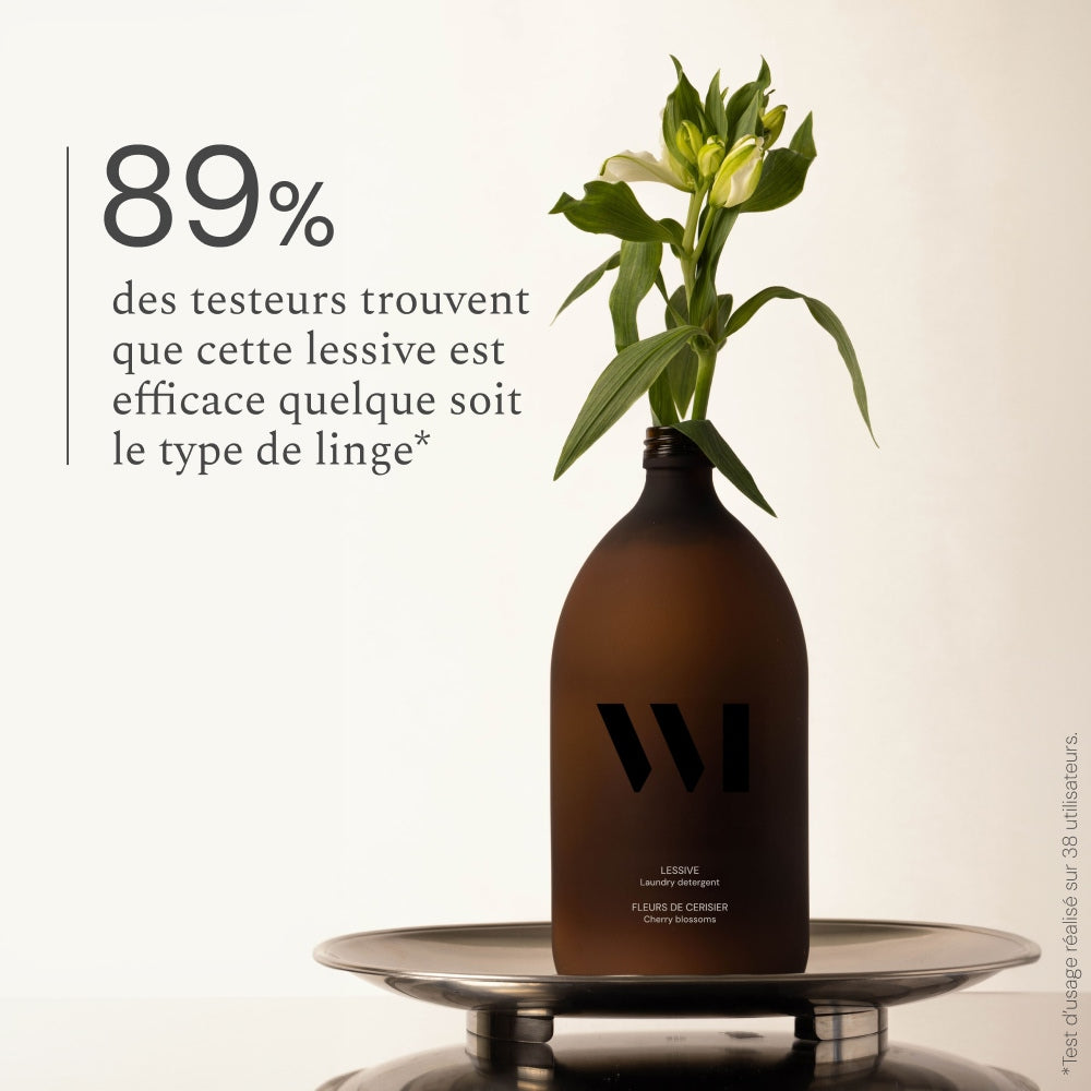 Illutration visuelle 3 de notre Lessive What Matters