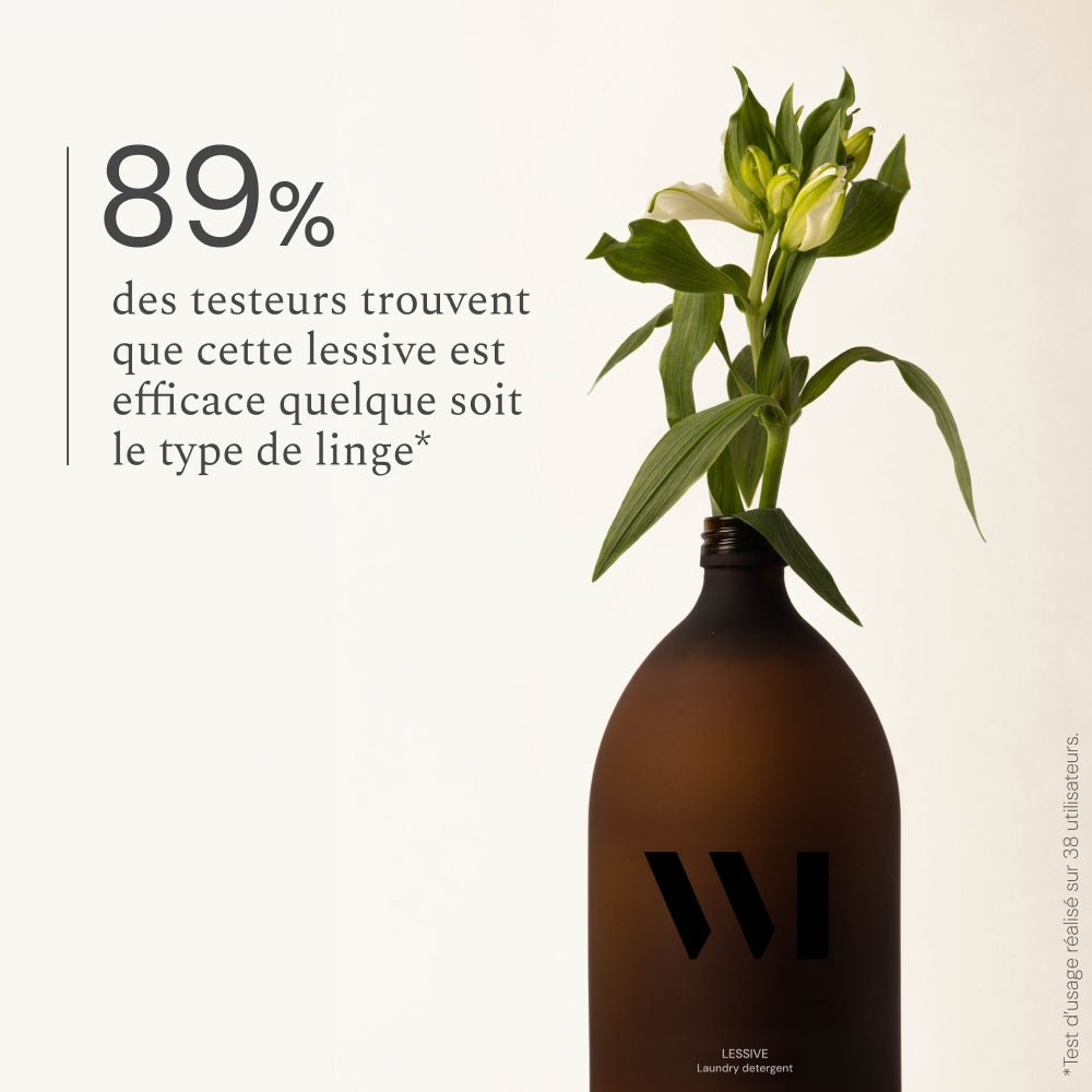 Illutration visuelle 3 de notre Lessive What Matters