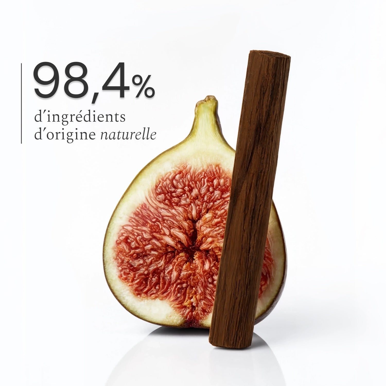Illutration visuelle 2 de notre Multi-Surface | Figuier Santal What Matters