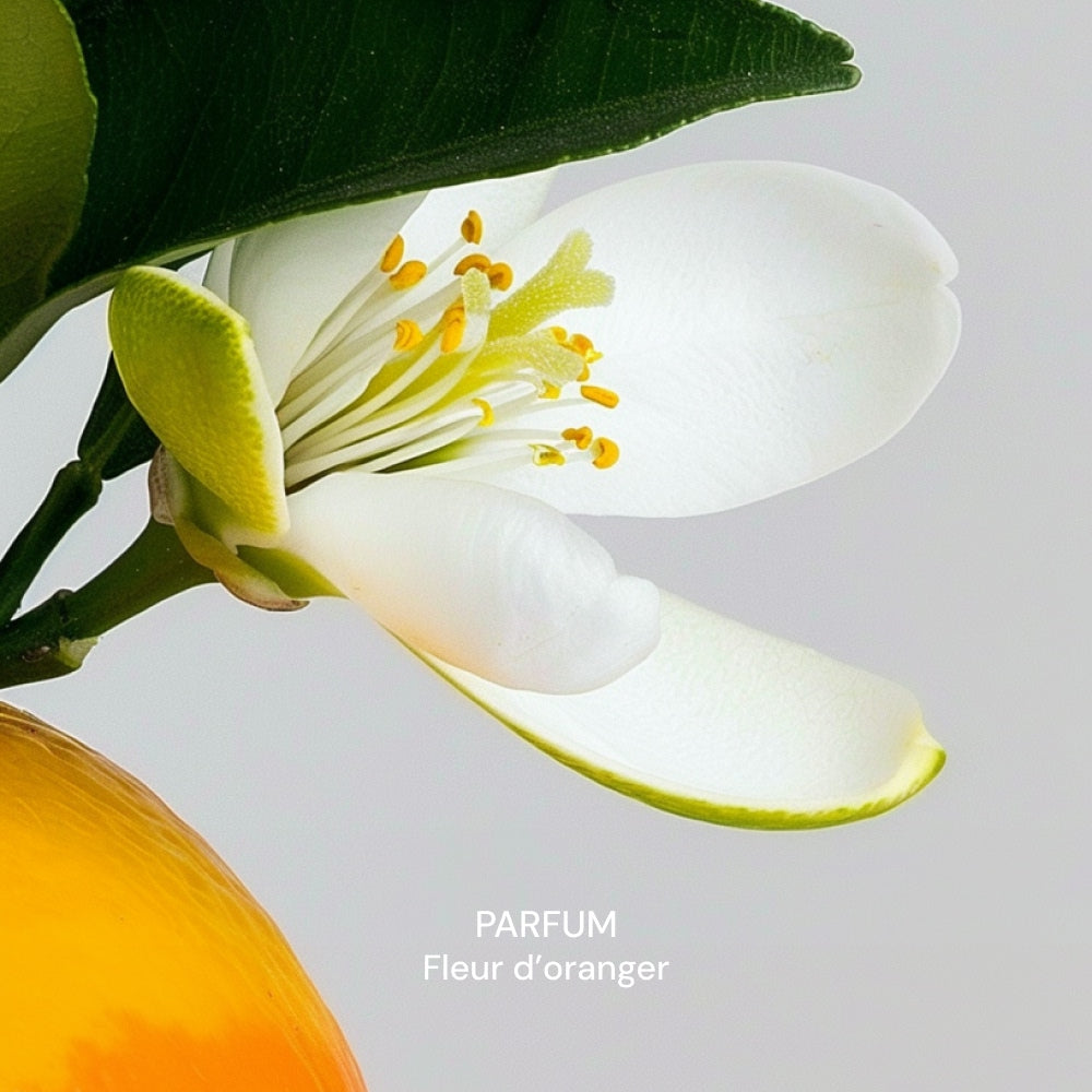 Illutration visuelle 8 de notre Gel Lavant Mains | Fleur d'Oranger What Matters