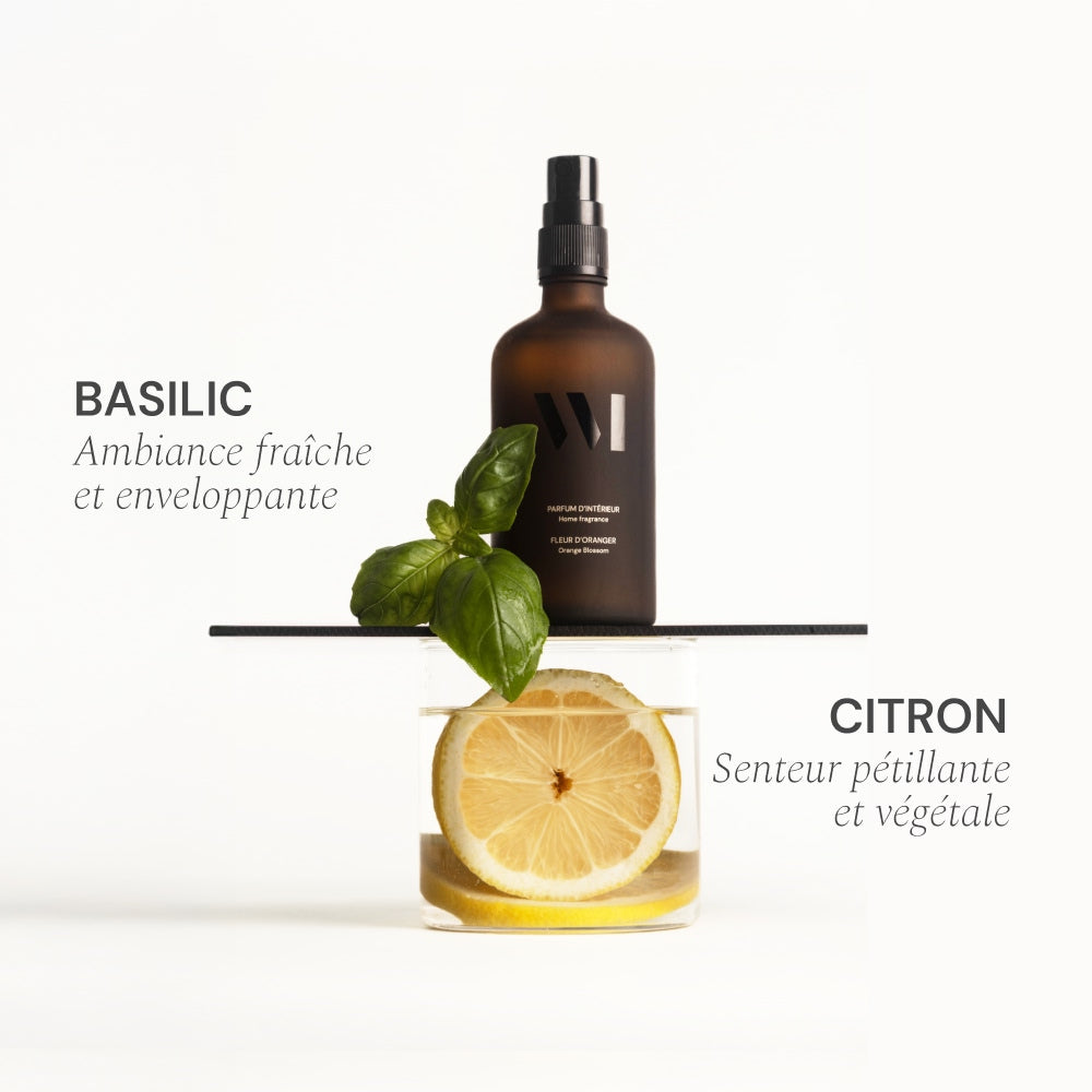 Illutration visuelle 3 de notre Parfum d'Intérieur | Basilic Citron What Matters