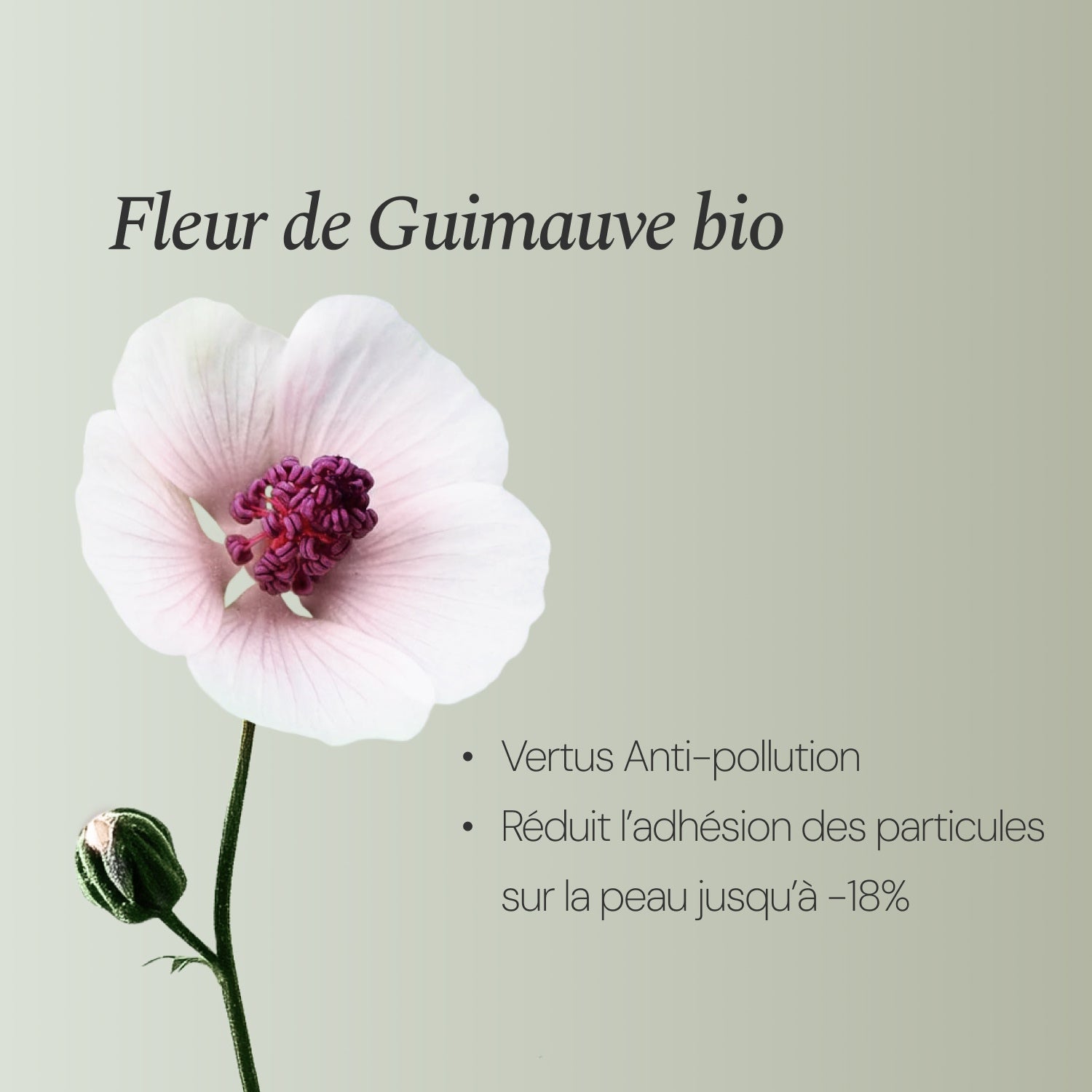 Illutration visuelle 2 de notre Gel Crème Hydratant What Matters