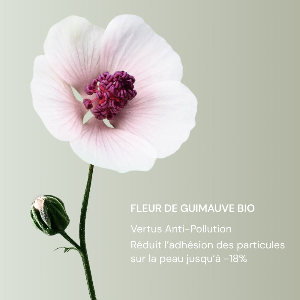 Illutration visuelle 2 de notre Gel Crème Hydratant What Matters