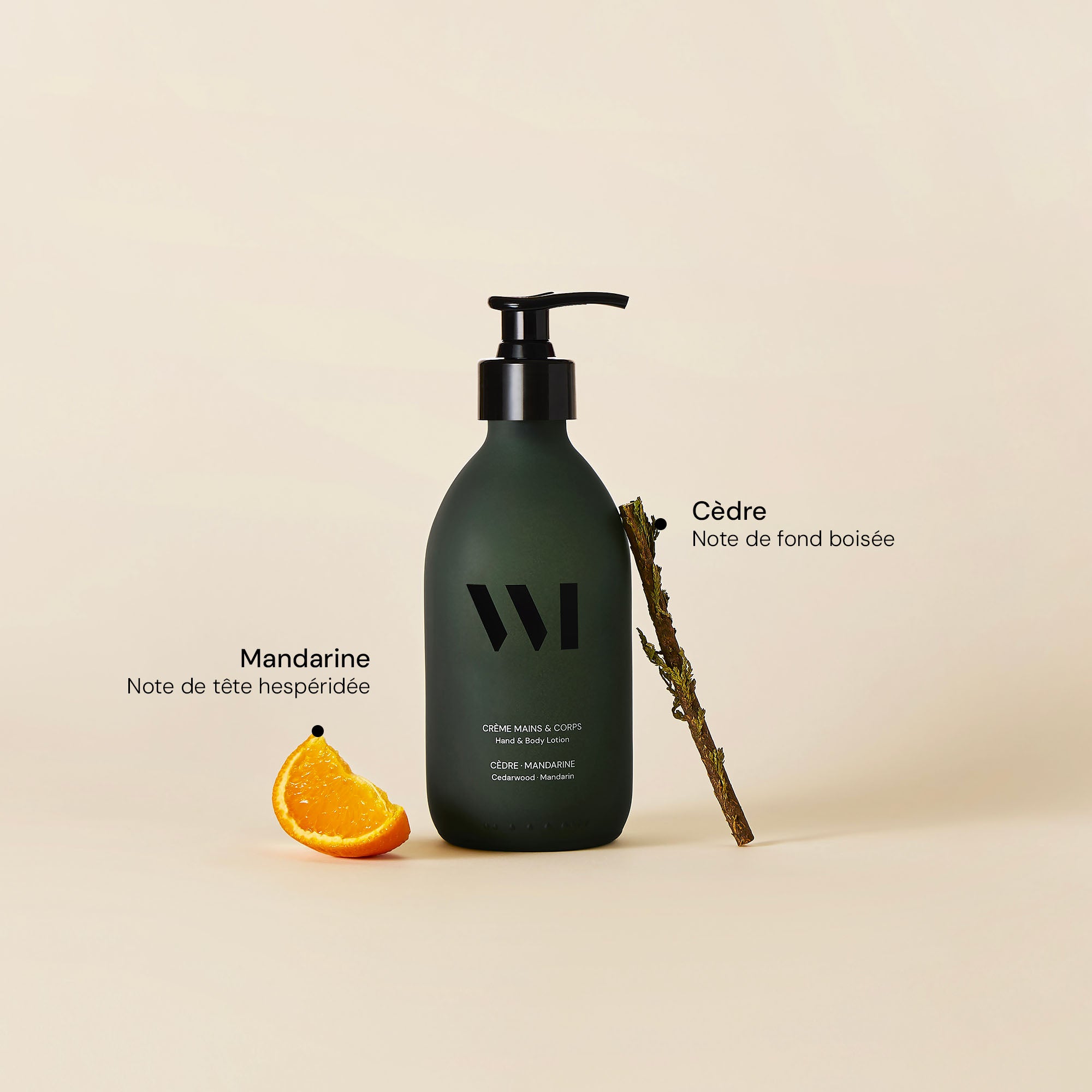 Illutration visuelle 2 de notre Crème Mains &amp; Corps | Cèdre Mandarine What Matters