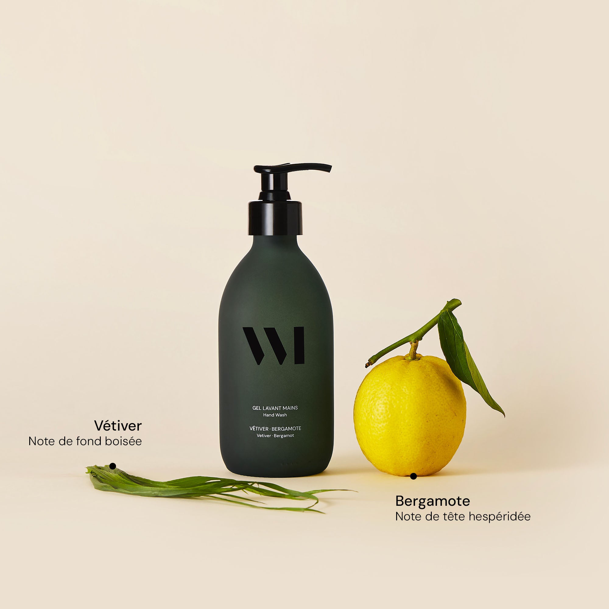 Illutration visuelle 2 de notre Gel Lavant Mains | Vétiver Bergamote What Matters