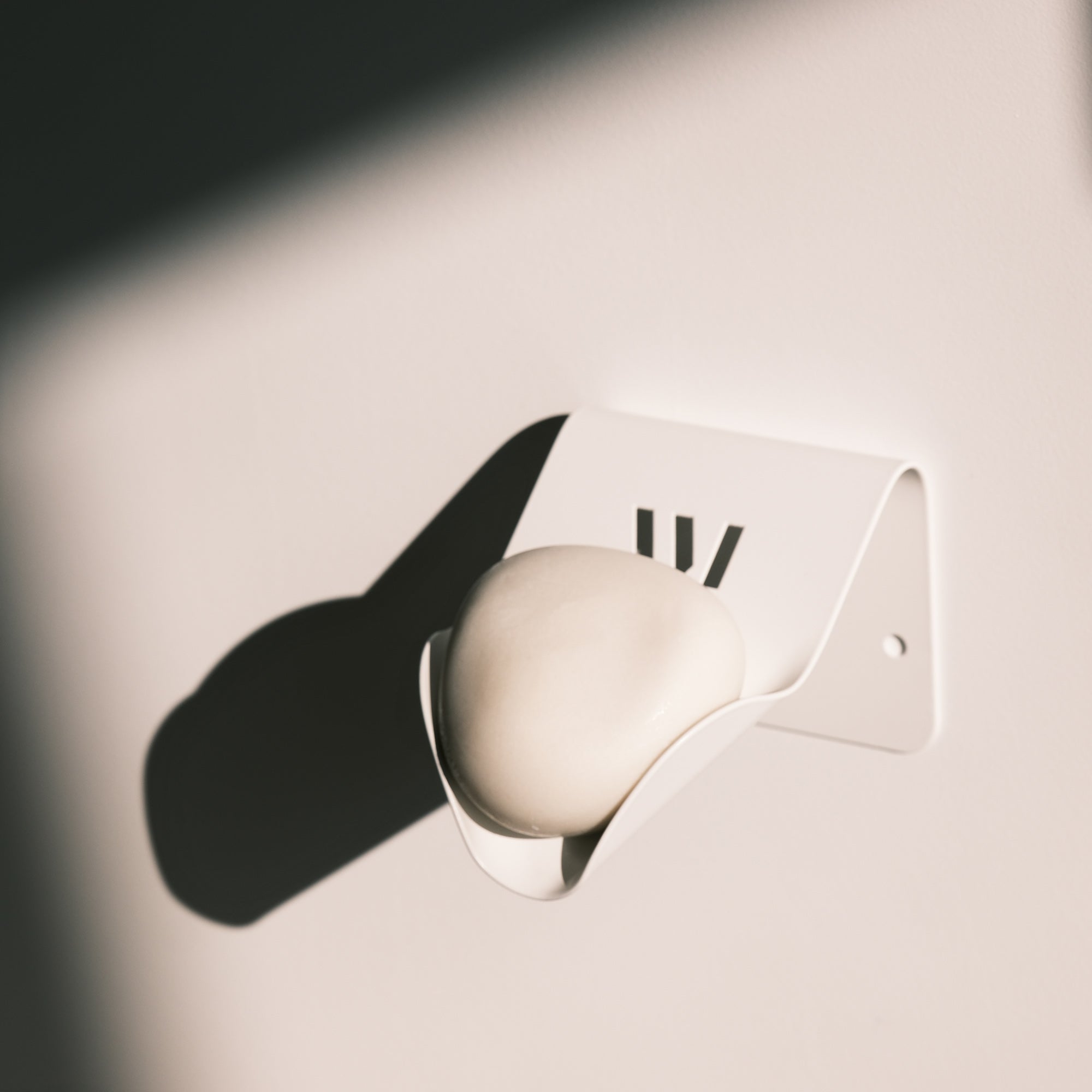 Illutration visuelle 6 de notre Shampoing &amp; Douche Solide | Porte Savon What Matters
