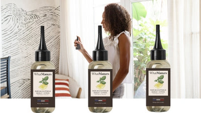 Illutration visuelle 1 de notre Parfum d'Intérieur Basilic Citron | 3 x 100ml What Matters